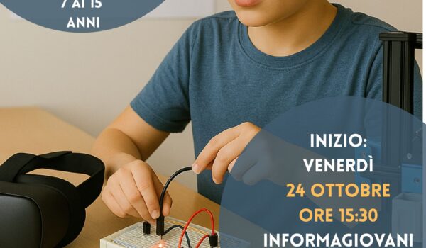 LOCANDINA STEAM 2